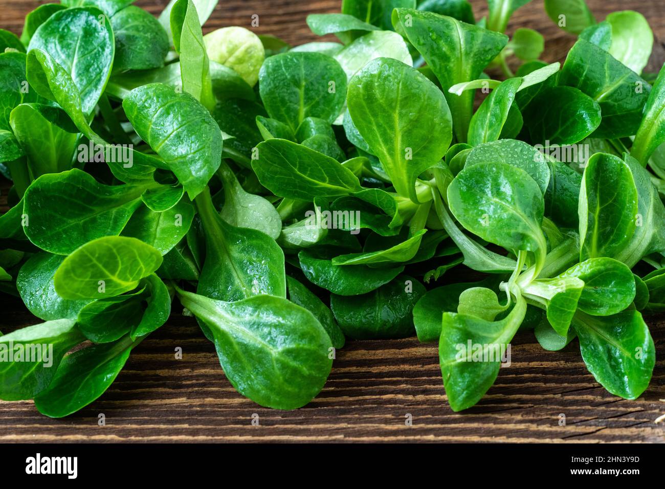 Green lettuce leaves (Valerianella locusta). Fresh lamb lettuce corn salad on rustic wooden table Stock Photo