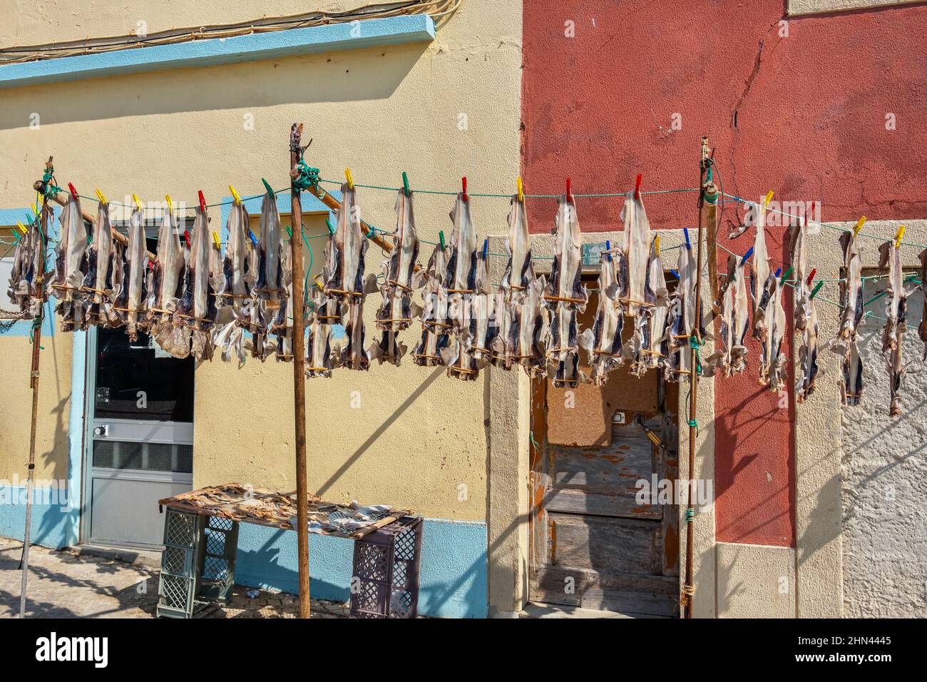 Drying fish to produce traditional stockfish on outdoor racks in Peniche. Portugal Stock Photo