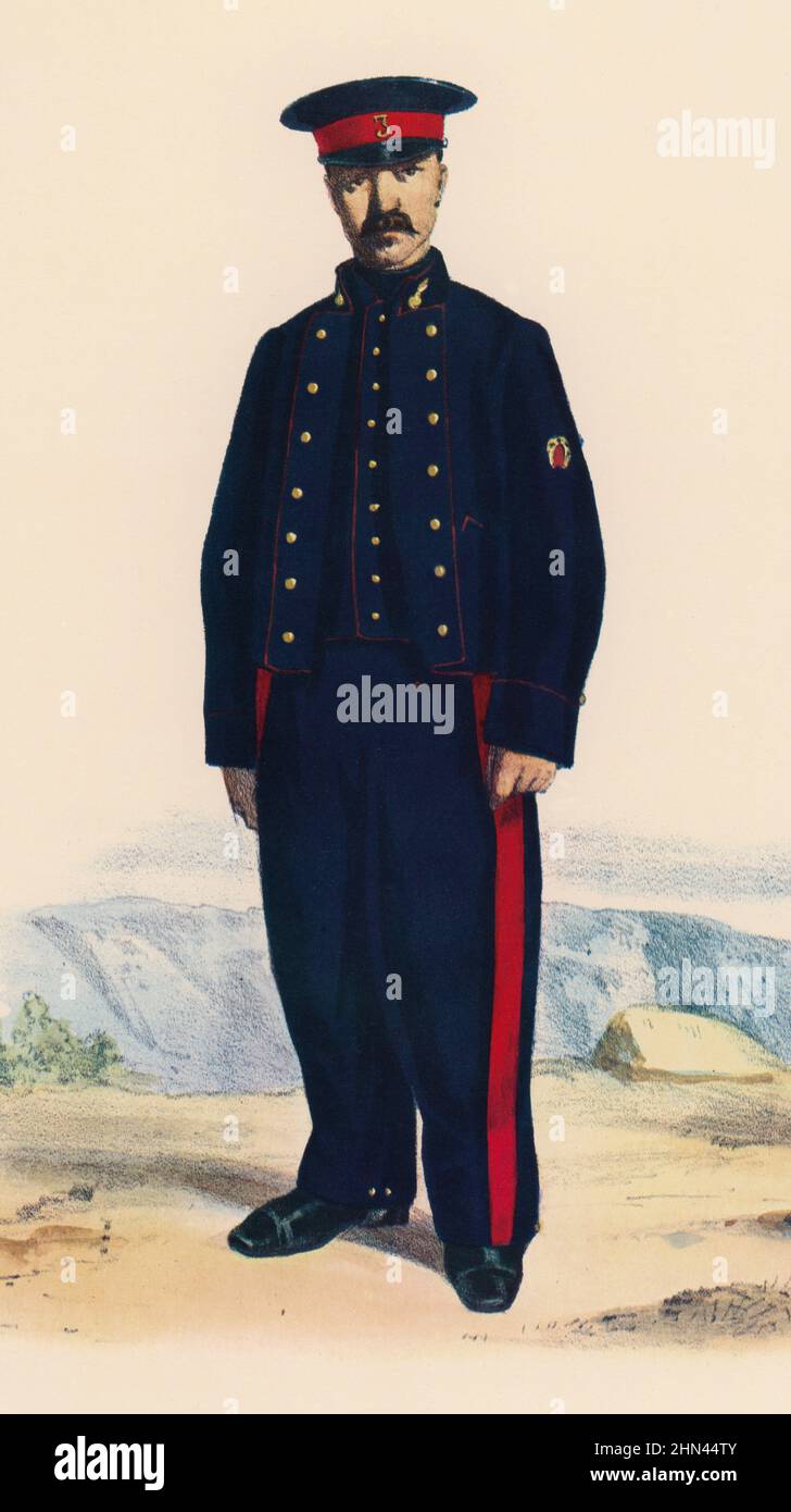 501st Legion Mayan Garrison - Equipados con una pica láser, los Guardia  Sombra del Emperador formaban parte de una organización de soldados de  élite al servicio del Imperio Galáctico. `🔥💥 Nuestra Shadow, image size:728x1390