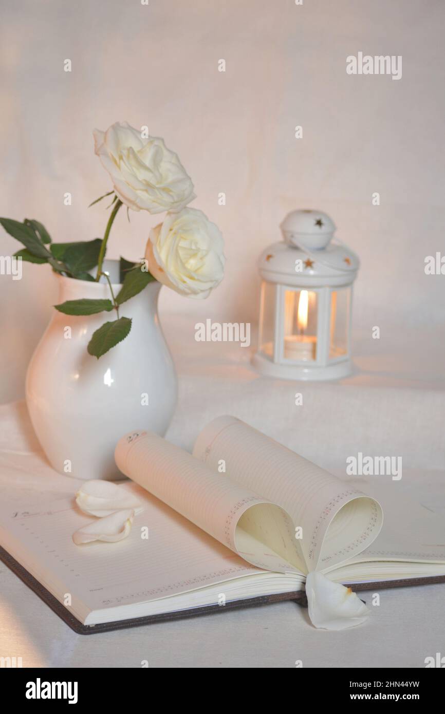Still life photo of white roses with white background Stock Photo - Alamy