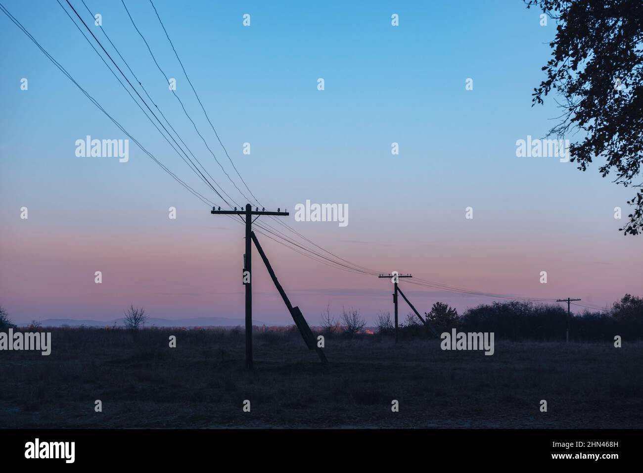 Colorful sunrise over the with trees and electric pole Stock Photo - Alamy
