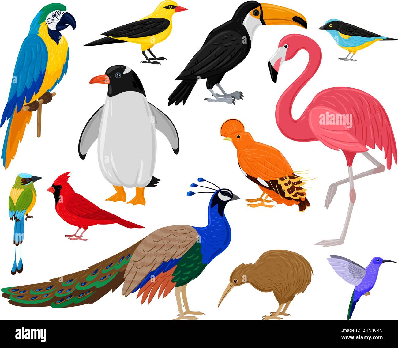 Cartoon tropical exotic birds, parrot, toucan, penguin and flamingo. Exotic fauna hummingbird, kiwi and peacock vector illustration set. Wild Stock Vector