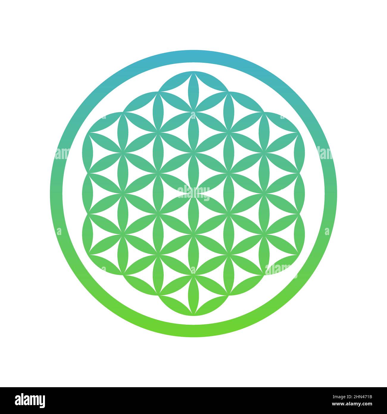 Flower of life symbol. Green blue geometric shape. Overlapping circles
