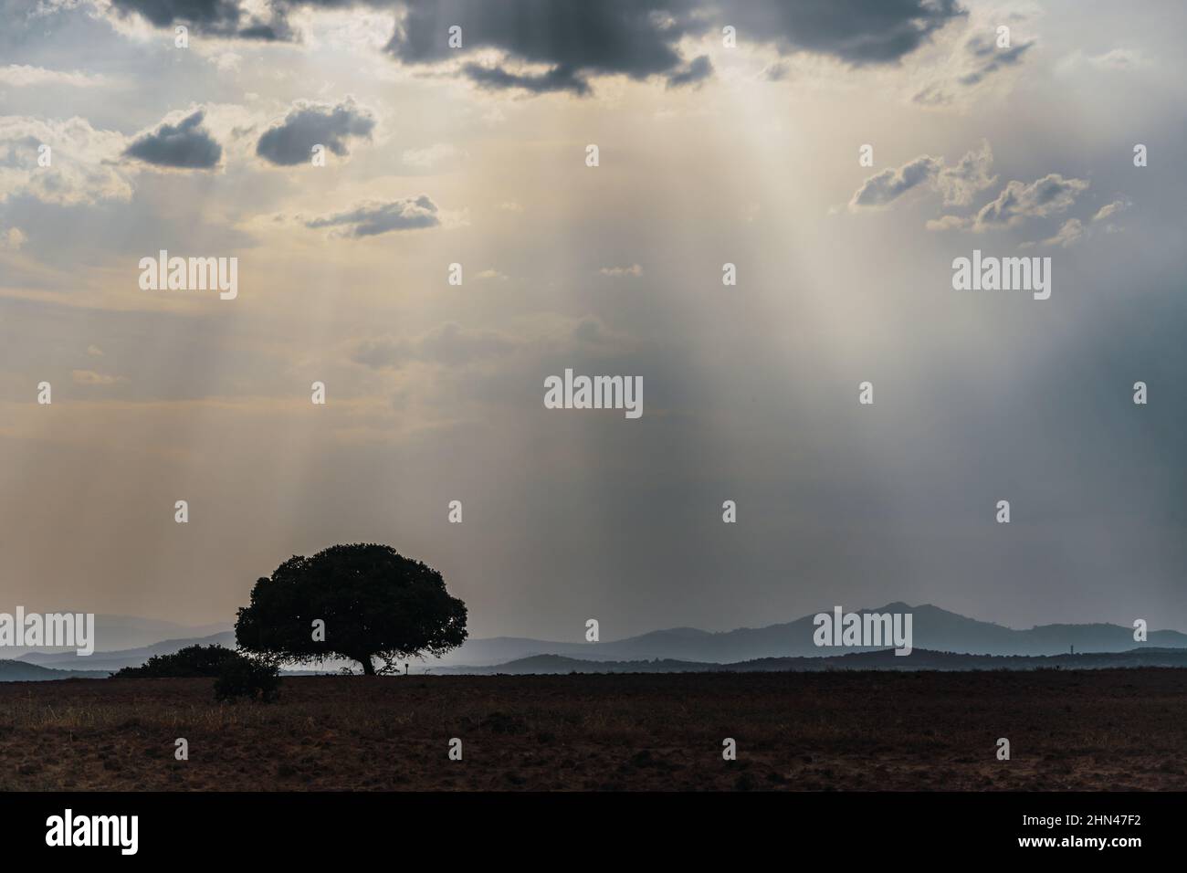 Sun rays through cloud hi-res stock photography and images - Alamy