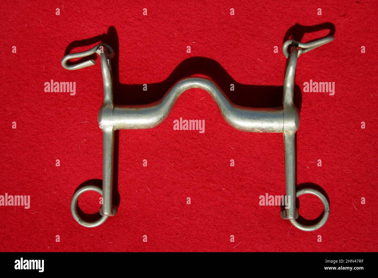 Domestic horse. Curb bit with high tongue clearance. Studio picture on red background Stock Photo