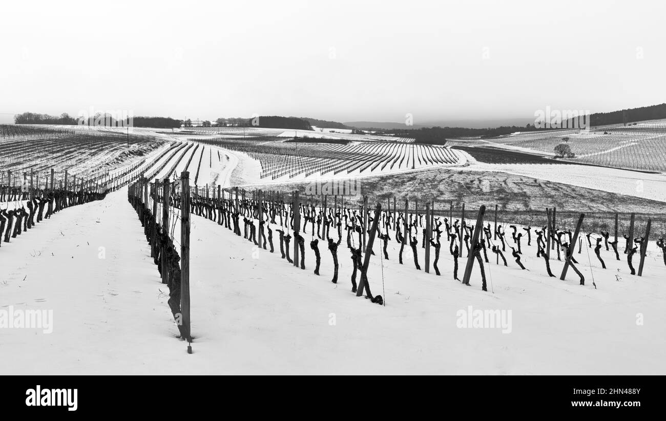 Winter landscape in black and white in the 'Hautes-Côtes de Nuits', Marey-lès-Fussey, France Stock Photo
