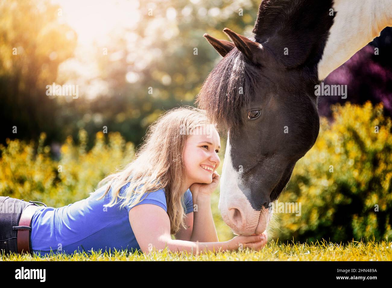 Piebald pony sniffs the hand of a teenager lying in grass. Germany Stock Photo