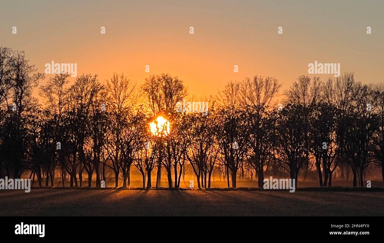sunset with rays of light between the trees Stock Photo