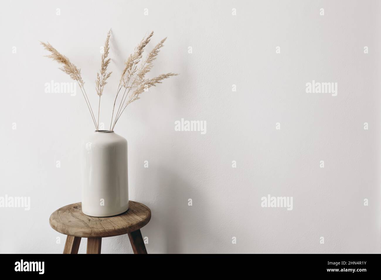 Modern summer, fall still life photo. Grey ceramic vase with dry festuca grass on old wooden stool. White wall background. Empty copy space. Elegant Stock Photo