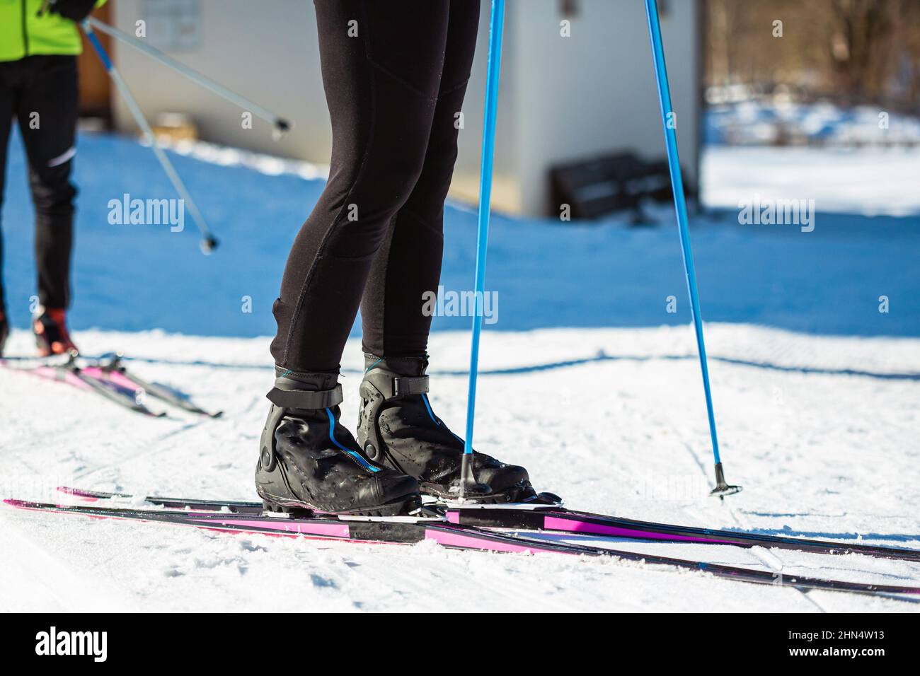 Cross country woman skier putting on the ski and fastened it on the
