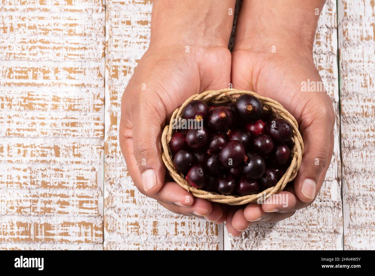 Euterpe oleracea Acai Fruit Of The Palm Manaca Stock Photo Alamy