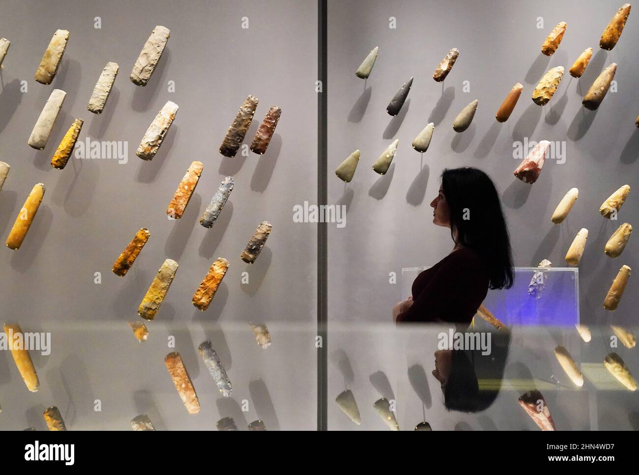 A member of staff observes a collection of stone axe heads assembled from across Britain, Ireland, Scandinavia, and continental Europe, dating from between 4500 - 1500 BC, during the press preview for the new The World of Stonehenge exhibition at London's British Museum. The display is the UK’s first ever major exhibition on Stonehenge and the largest British Museum exhibition of recent times, featuring over 430 objects on show from across Britain, Ireland and Europe. Picture date: Monday February 14, 2022. Stock Photo