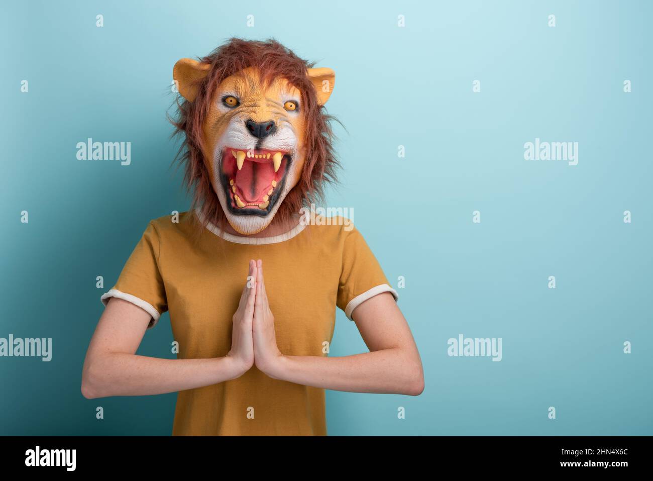 Young woman in lion mask hold her hands together in gratitude or prayer sign, isolated on blue background with copy-space. Stock Photo