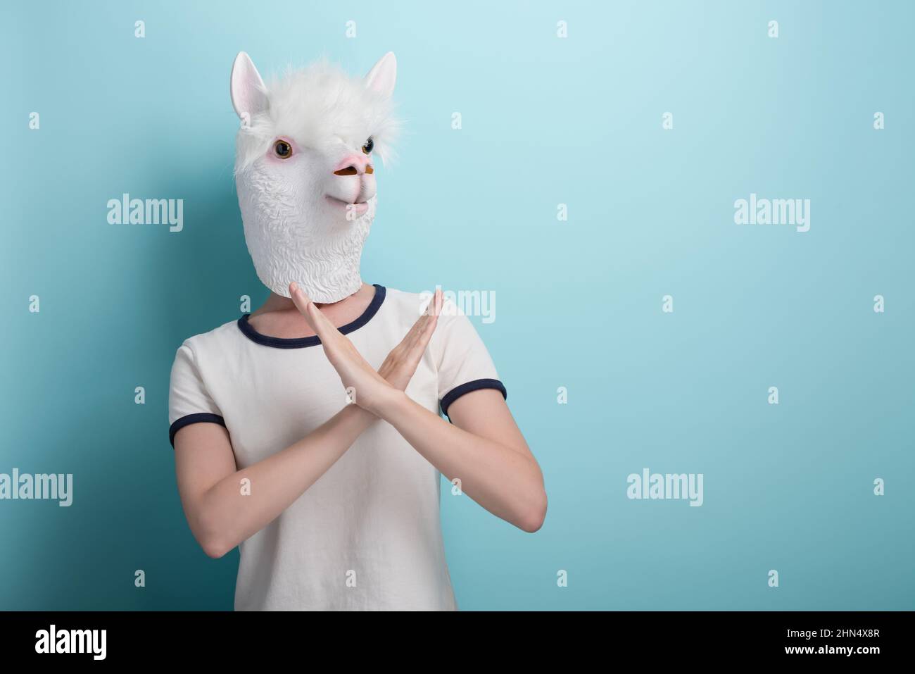 Young woman in alpaca mask hold her hands crossed in stop or cancel sign gesture, isolated on blue background with copy-space. Stock Photo