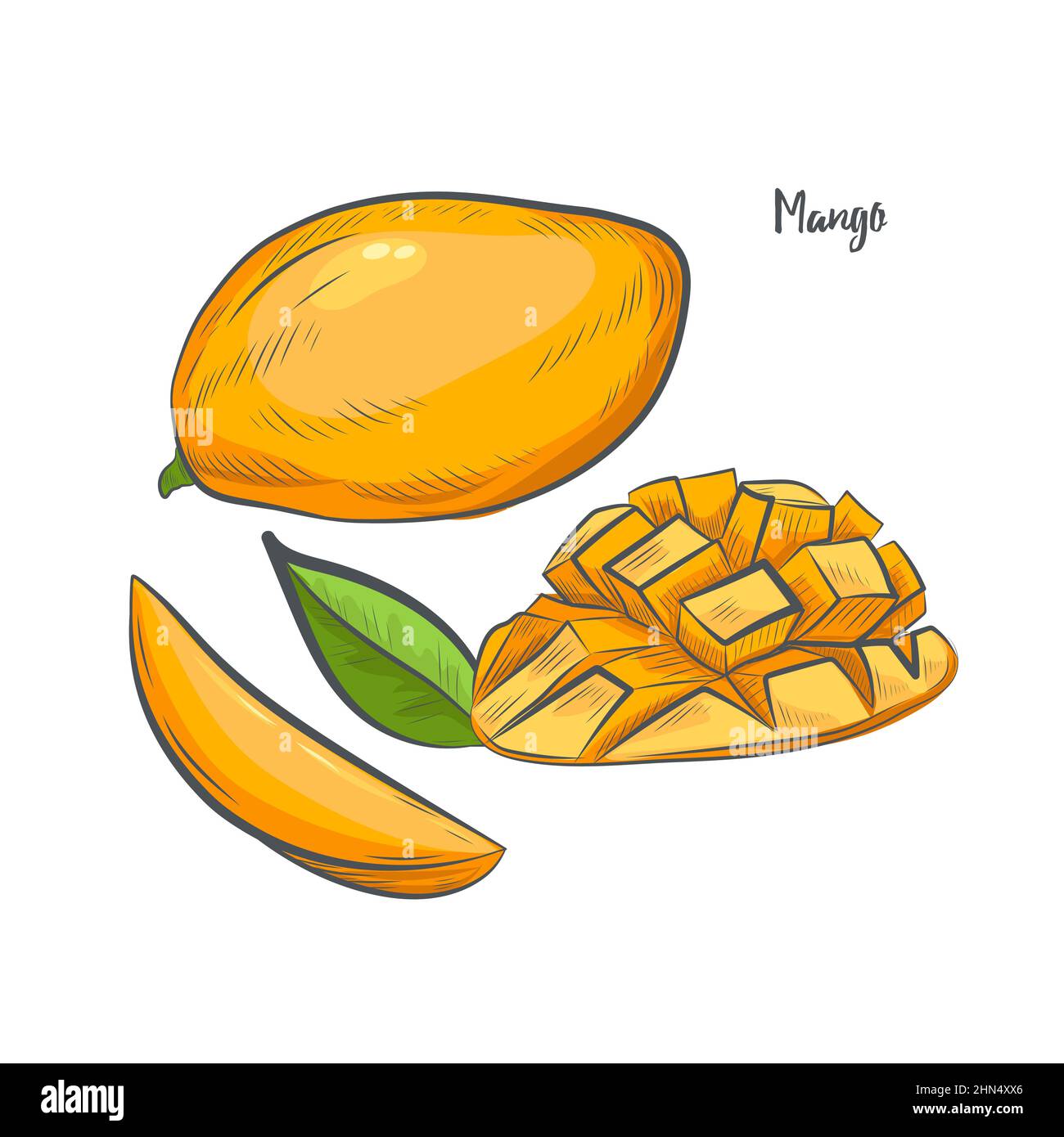 Mango clipart isolated on white background Stock Vector Image & Art Alamy