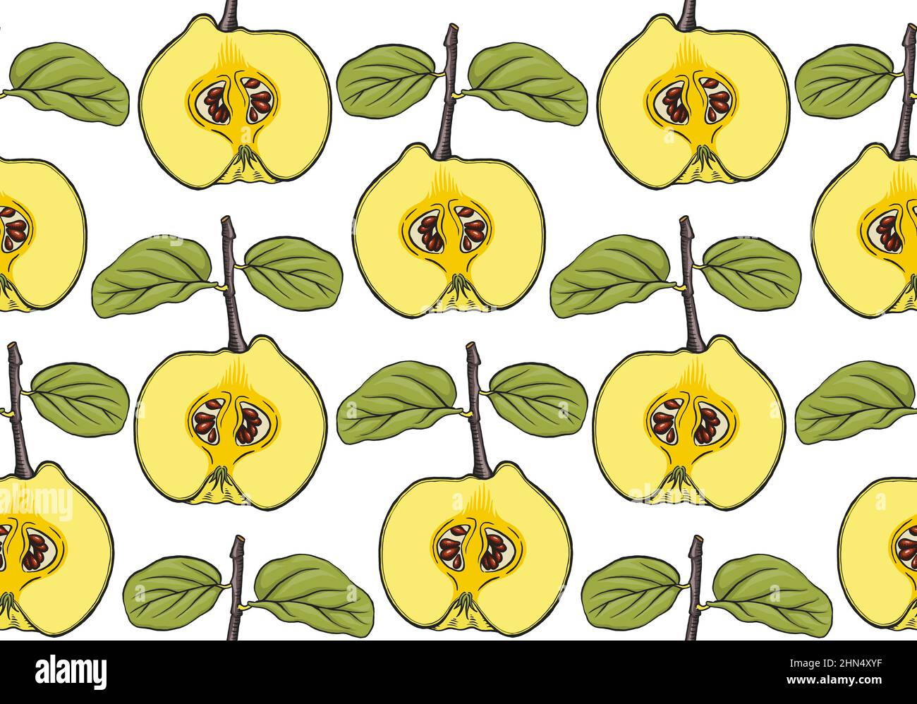 Quince apple fruit, seamless pattern. Drawing of half of ripe raw