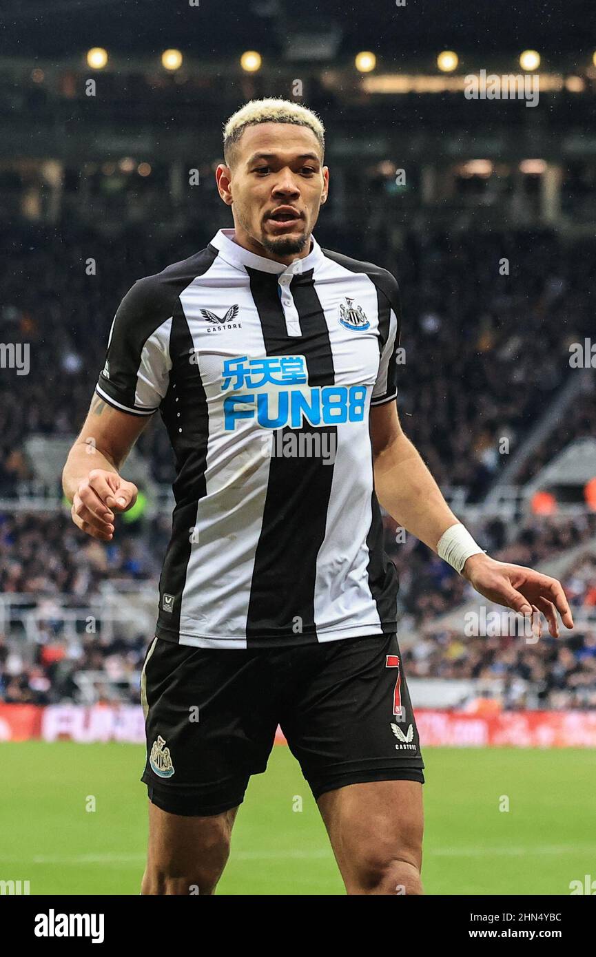 Joelinton #7 of Newcastle United during the game in Newcastle