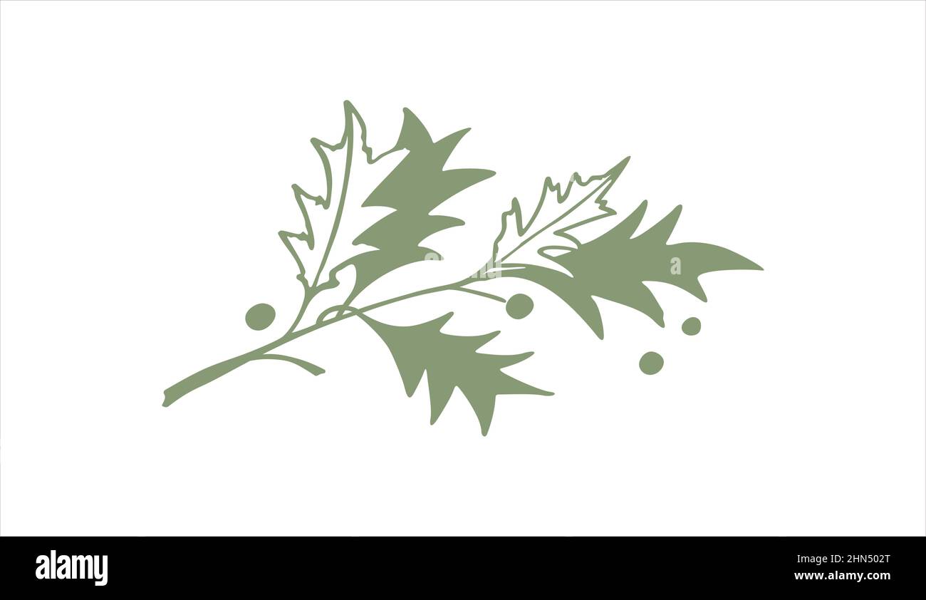 Oak leaf. Branch of maple oak tree in doodle style Stock Vector Image
