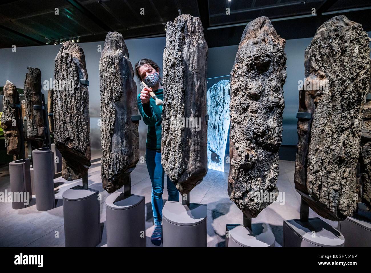 London, UK. 14th Feb, 2022. Around half of the 4,000-year-old Bronze Age timber circle ‘Seahenge' which reemerged on a remote Norfolk beach in 1998 - The world of Stonehenge a new exhibition at the British Museum. It is the UK's first ever major exhibition on Stonehenge and the largest British Museum exhibition of recent times - with over 430 objects on show from across Britain, Ireland and Europe. The exhibition runs from 17 February - 17 July 2022 and was organised with the State Museum of Prehistory, Halle/Saale, Germany. Credit: Guy Bell/Alamy Live News Stock Photo