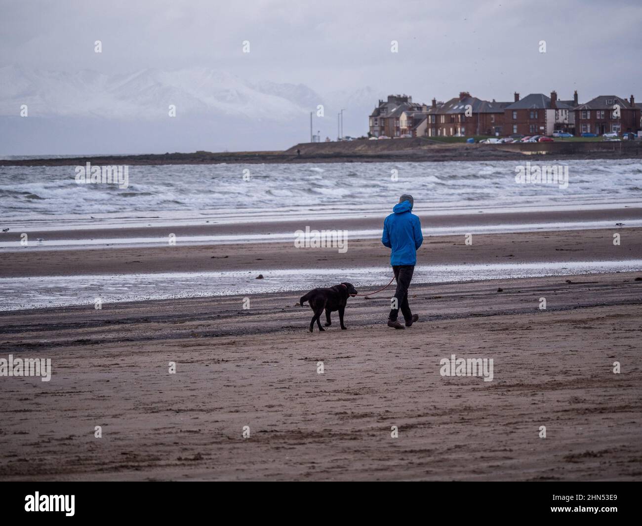 Out walking the dog on Troon beach a winters day in February Stock Photo
