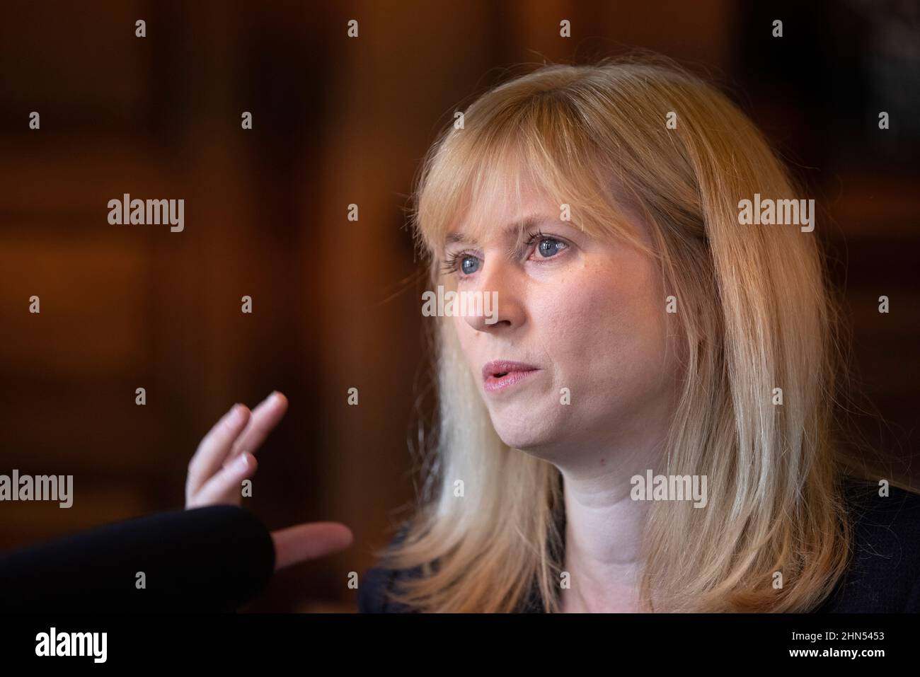 Rosie Duffield, 50 year-old Labour MP for Canterbury who has been bullied on social media by local political activists. Whitehall, London, UK Stock Photo