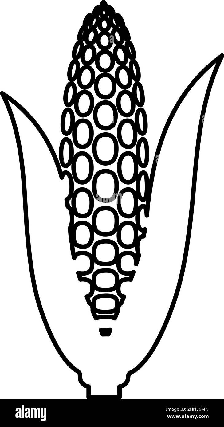 Corn ear contour outline line icon black color vector illustration ...