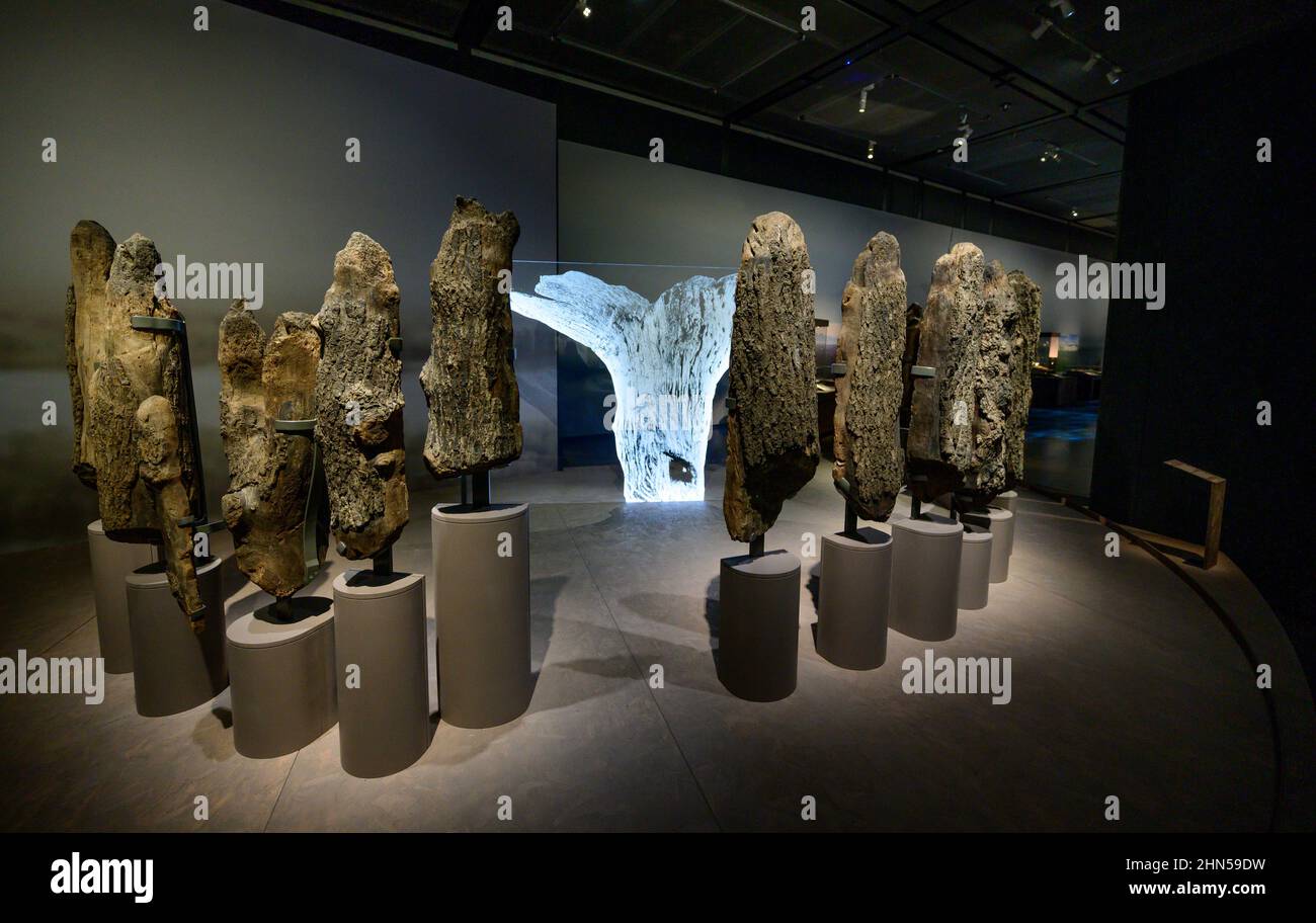 The British Museum London, UK. 14 February 2022. The World of Stonehenge, the UK’s first ever major exhibition on Stonehenge and the largest British Museum exhibition of recent times – running from 17 Feb-17 July 2022. Image: 4000 year old Seahenge display. Oak, Holme-next-the-Sea, Norfolk, 2049BC. Credit: Malcolm Park/Alamy Live News. Stock Photo