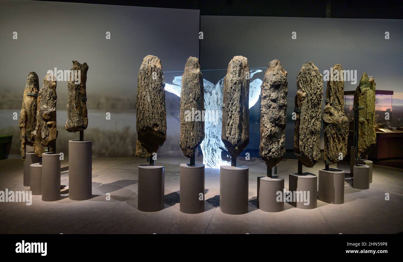 The British Museum London, UK. 14 February 2022. The World of Stonehenge, the UK’s first ever major exhibition on Stonehenge and the largest British Museum exhibition of recent times – running from 17 Feb-17 July 2022. Image: 4000 year old Seahenge display. Oak, Holme-next-the-Sea, Norfolk, 2049BC. Lynn Museum Norfolk loan. Credit: Malcolm Park/Alamy Live News. Stock Photo