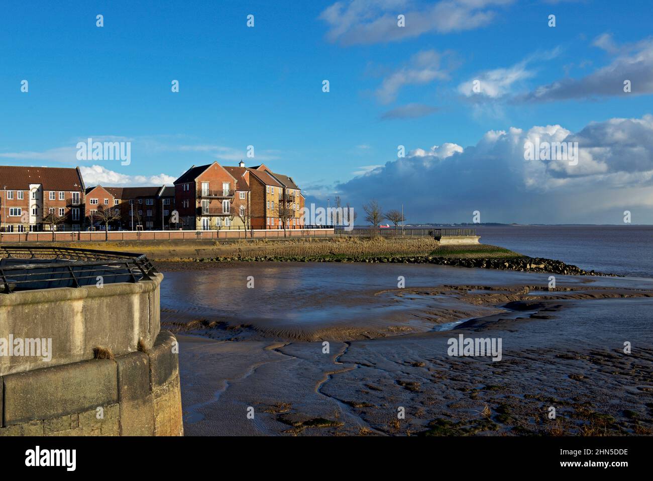 Housing in Victoria Docks, Hull, Humberside, East Yorkshire, England UK