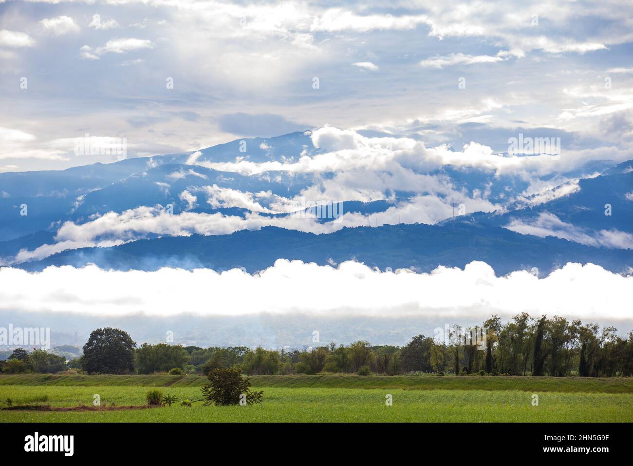 Sugar cane field and the majestic mountains at the Valle del Cauca region in Colombia Stock Photo