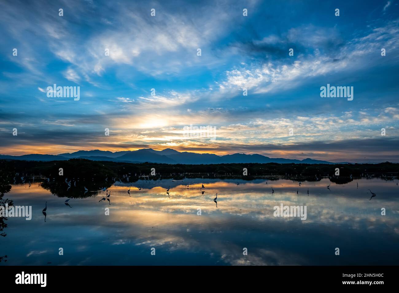 Dawn at a lake filled with water birds. San Blas, Nayarit, Mexico. Stock Photo