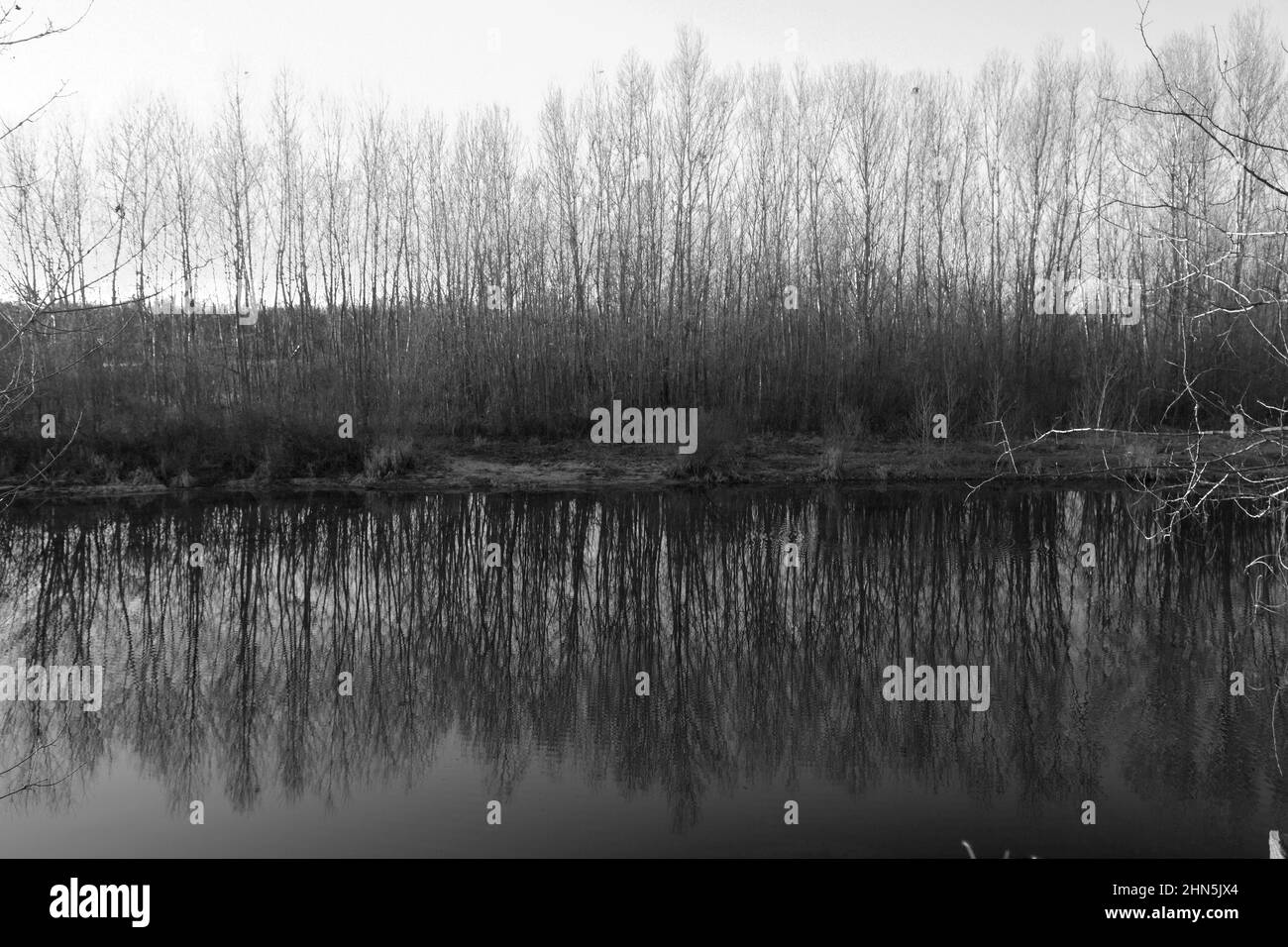 Beautiful winter landscape sun Black and White Stock Photos & Images ...
