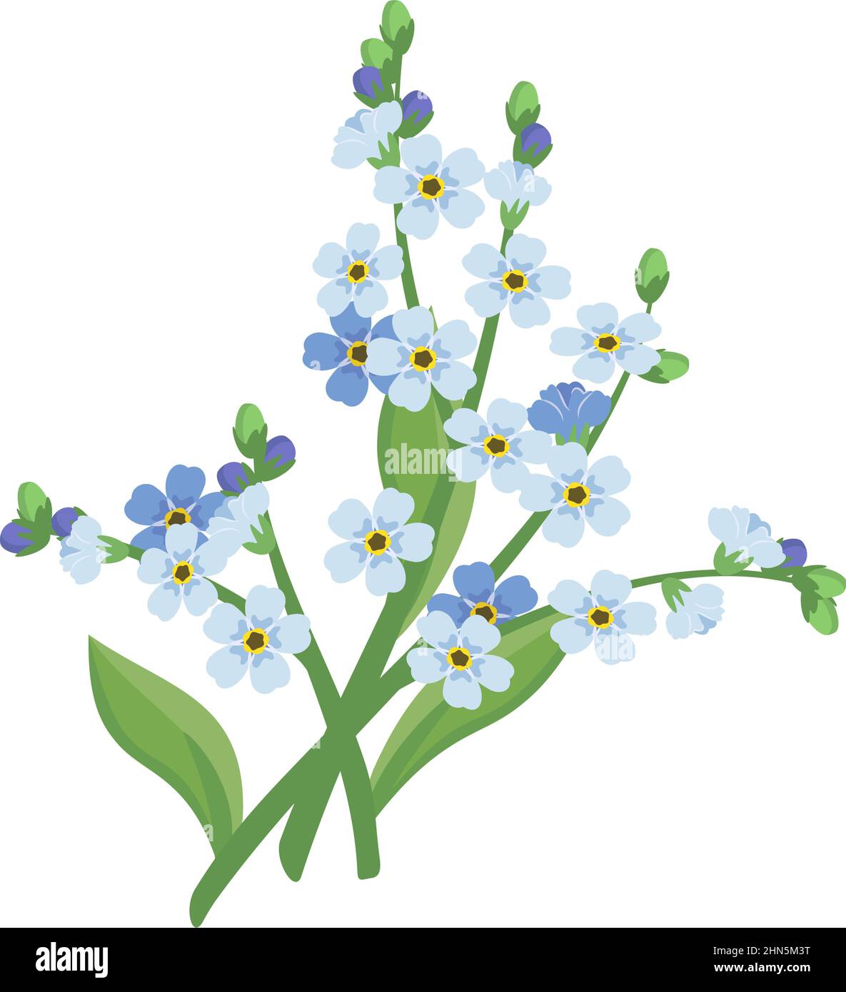 Small blue forget me not flowers with stems and leaves. Field flowering plants. Romantic decoration for wedding and design. Vector flat illustration Stock Vector