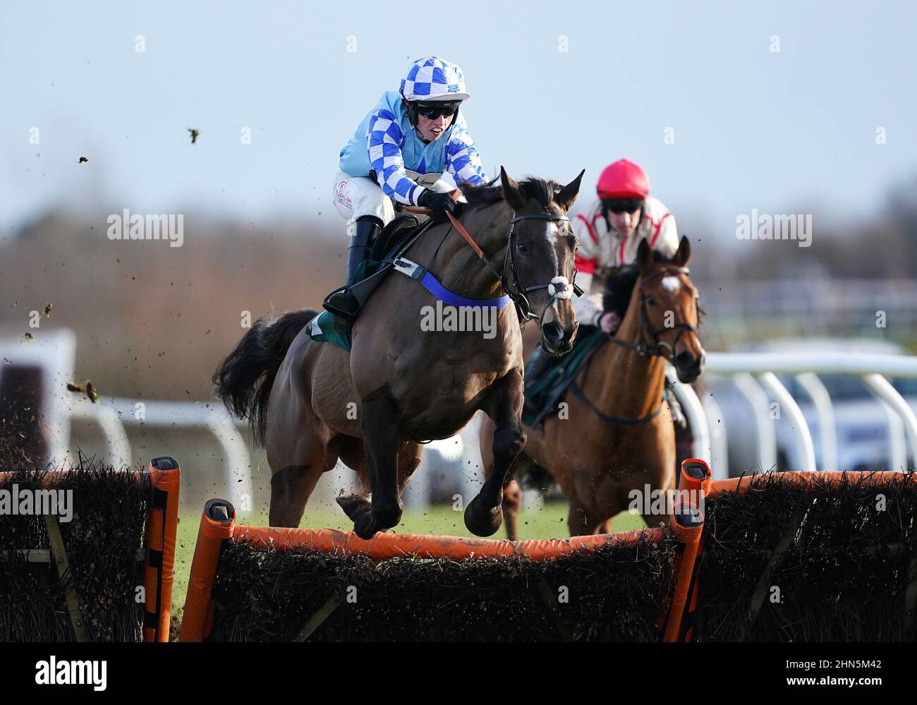 Mick Maestro ridden by Charlie Hammond clears a fence before going on to win the Happy 50th Dawn Callaghan Love You Handicap Hurdle at Catterick Bridge Racecourse. Picture date: Monday February 14, 2022. Stock Photo