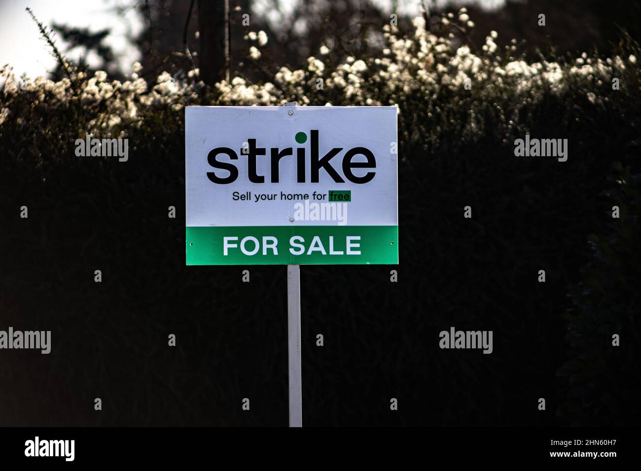 Strike real estate- estate agents for sale sign, massive growth in house prices, England, UK Stock Photo