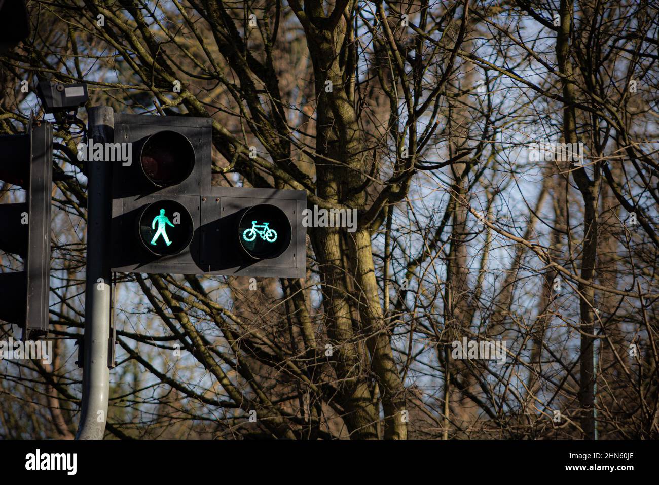 illuminated walking green man and cycle, safe to cross road symbol on a pedestrian crossing at traffic lights. England UK Britain Stock Photo