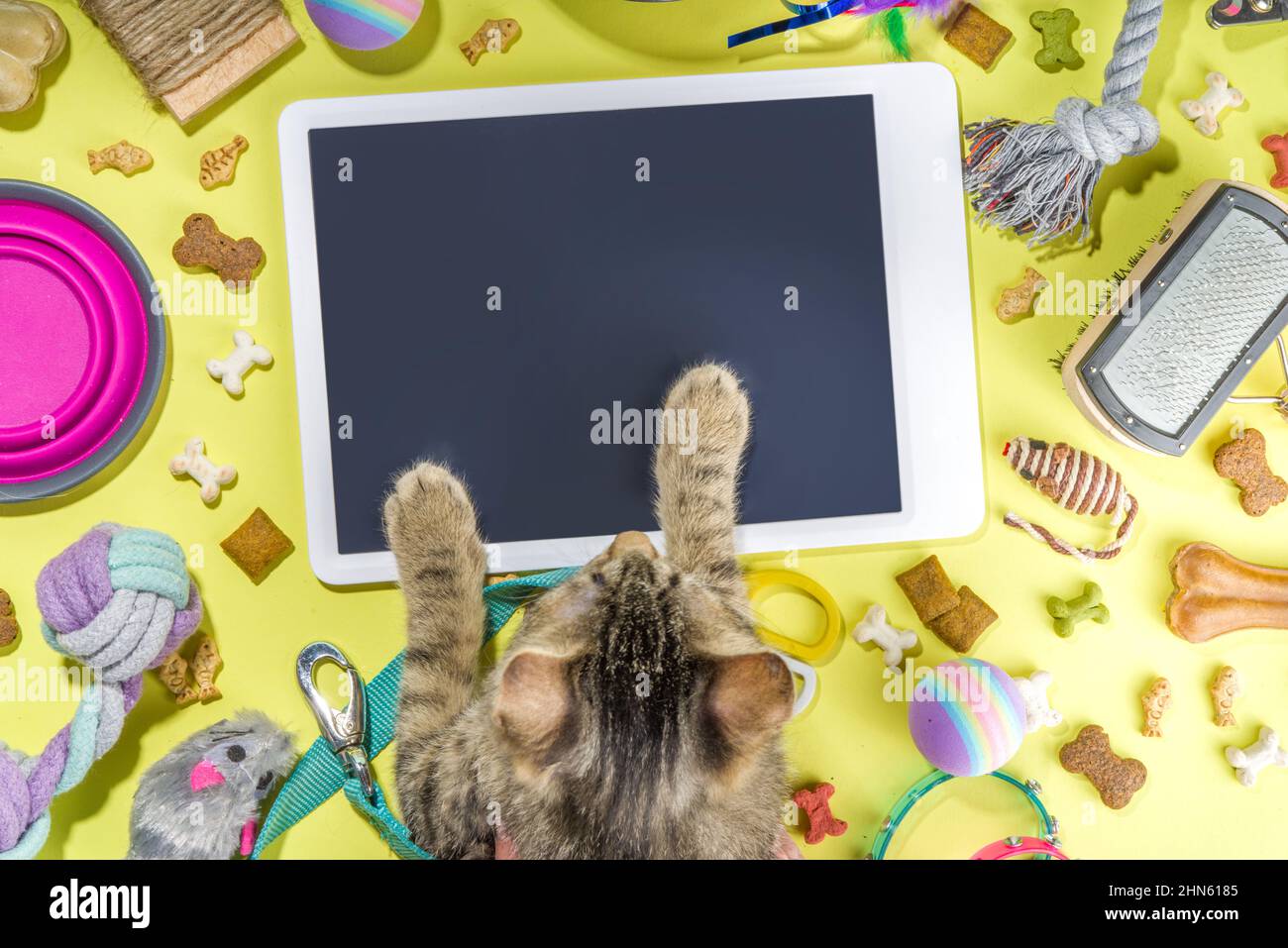 Pet food and accessories, various cat, dog, domestic animals food, toys