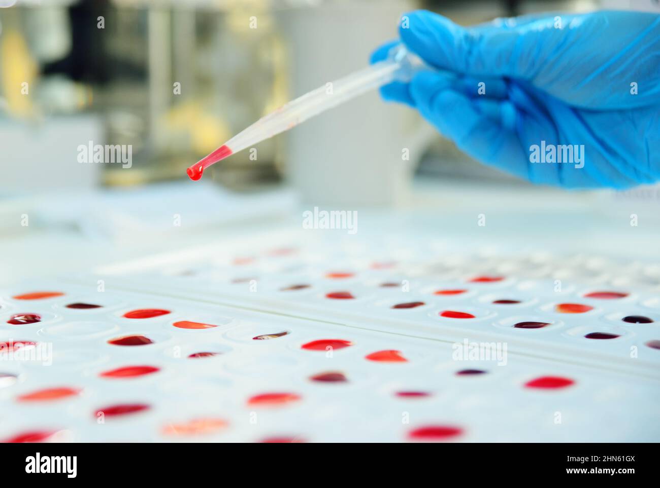 laboratory worker holds cuvette for definition of blood type and Rh