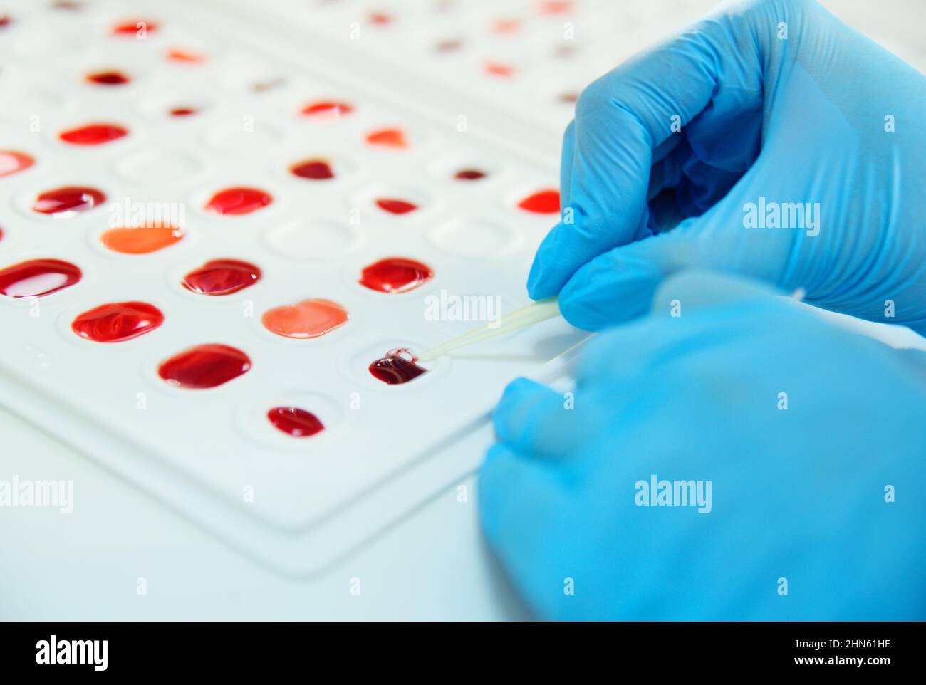 laboratory worker holds cuvette for definition of blood type and Rh
