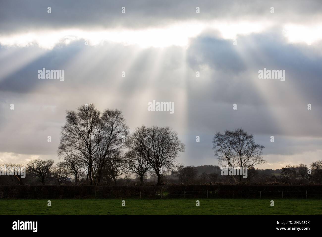 Pontrhydfendigaid, Ceredigion, Wales, UK. 14th February 2022  UK Weather: A cold and wet cloudy day, with crepuscular rays streaming through the clouds at Pontrhydfendigaid in mid Wales. © Ian Jones/Alamy Live News Stock Photo