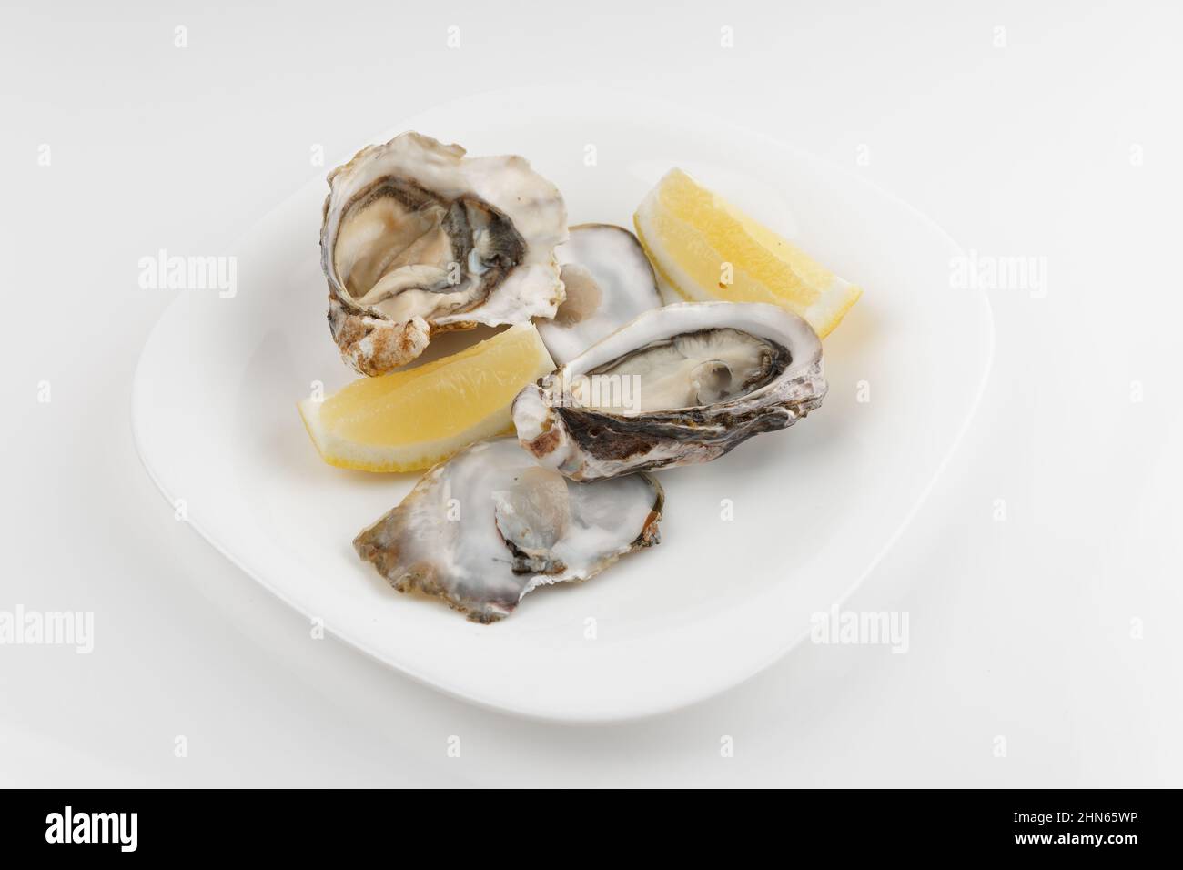 Oysters in plate on light grey background Stock Photo