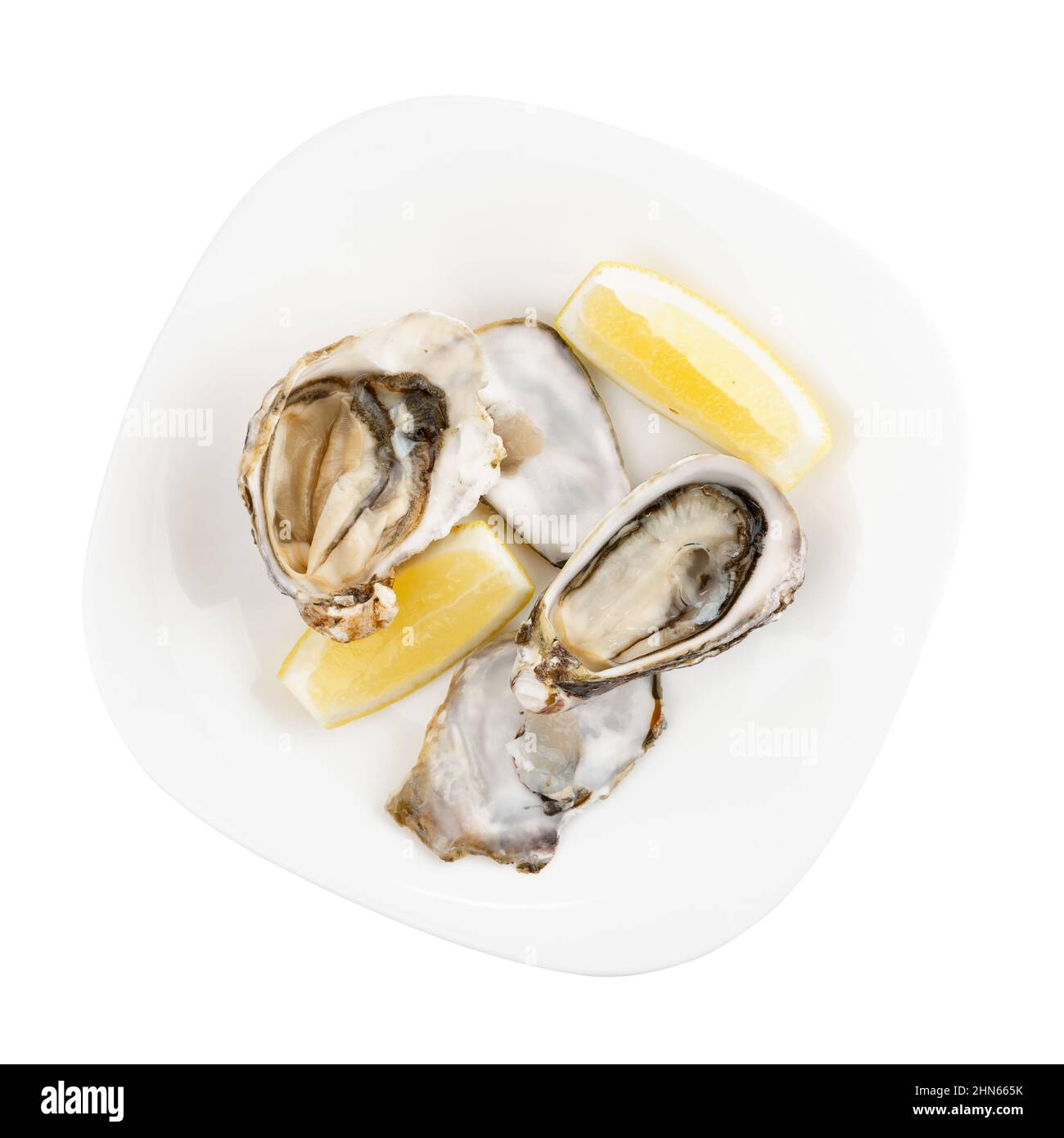 Oysters in plate on white background shot from above Stock Photo