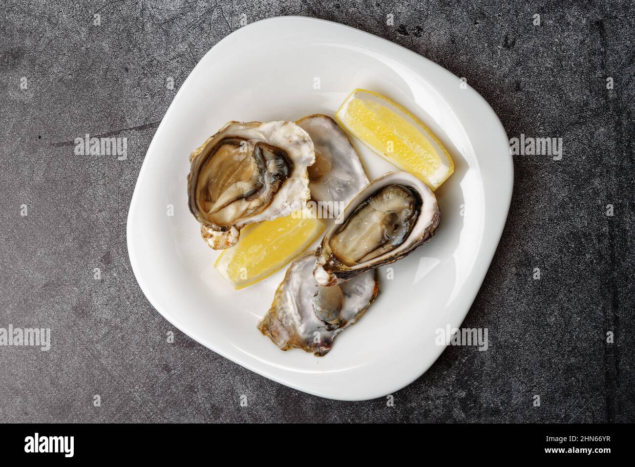 Oysters in plate on grey concrete background shot from above Stock Photo