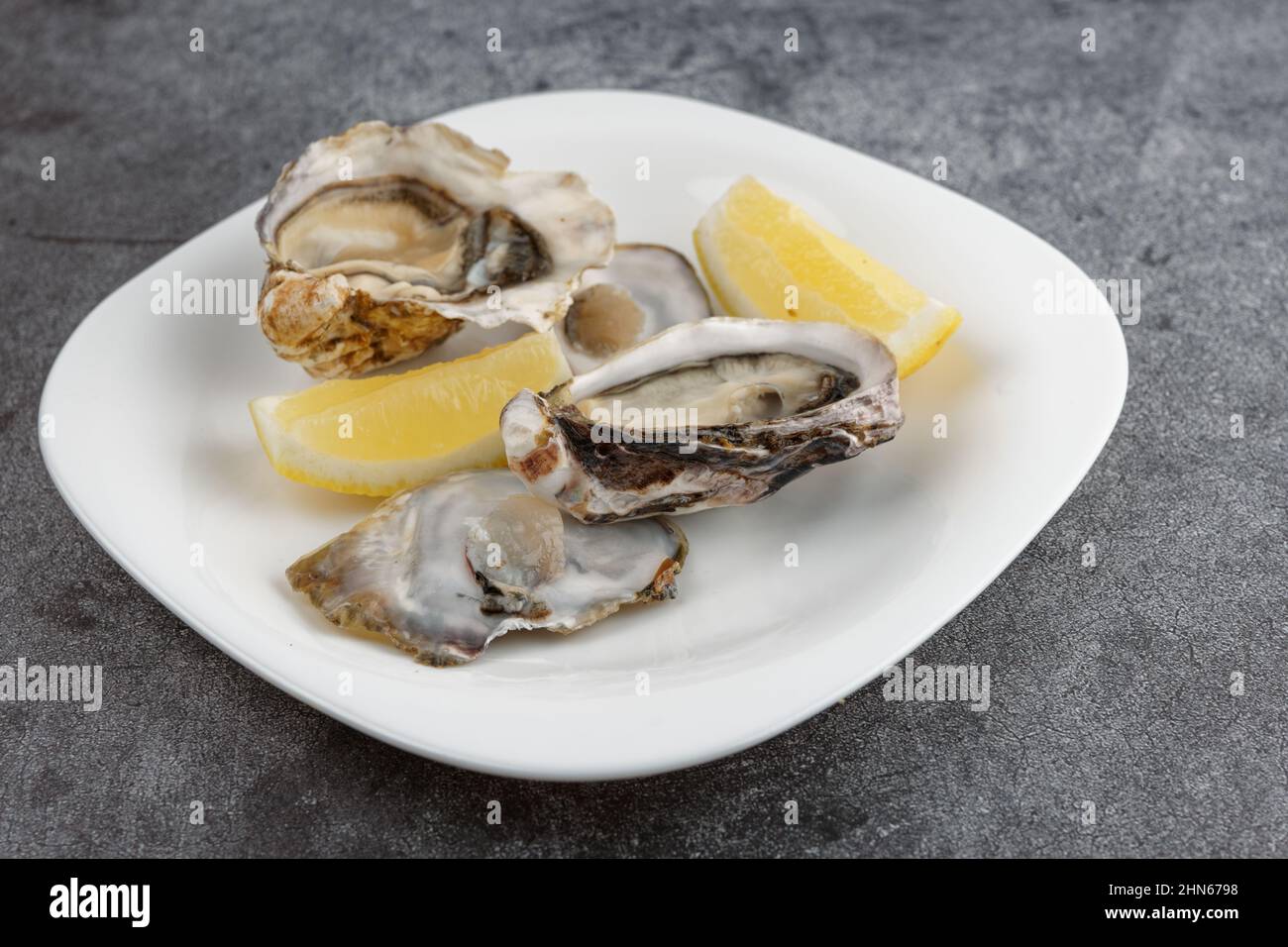 Oysters in plate on grey concrete background Stock Photo