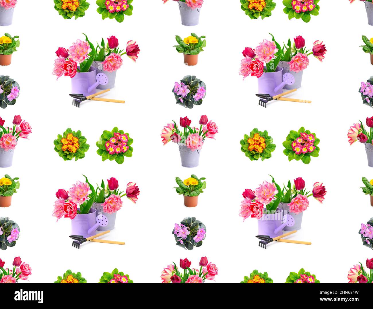 Large seamless pattern bright violets and tulips isolated on white background. Stock Photo
