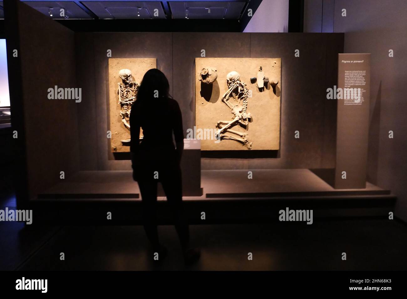 The World of Stonehenge is UK's first ever major exhibition on the story of Stonehenge Key loans include the Nebra Sky Disc , the world's oldest map of the stars and the astonishing wooden monument dubbed Seahenge that recently emerged after millennia from the sands of a Norfolk beach .. Stonehenge was built 4500 years ago around the same time as the Sphinx and the Great Pyramid of Giza in Egypt . Nearly two-thirds of the objects on display in The World of Stonehenge are loans , with objects from 35 lenders across the UK and Europe and have never been seen in the UK before ... Stock Photo