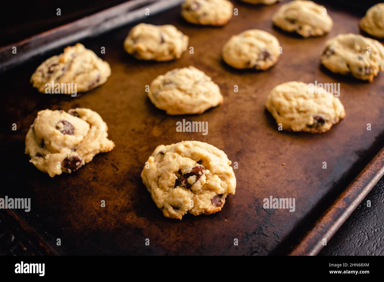 Soft-Batch Cream Cheese Chocolate Chip Cookies: Chocolate chip cookies on a sheet pan Stock Photo