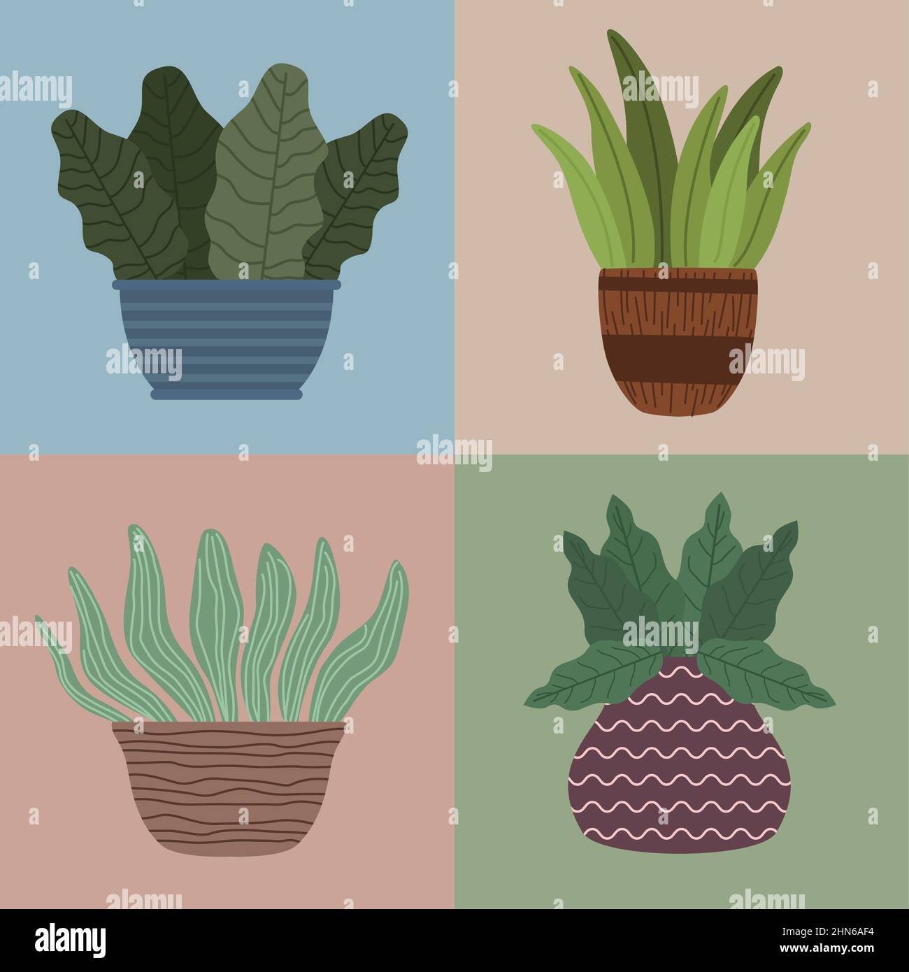 four houseplants gardening icons Stock Vector Image & Art - Alamy