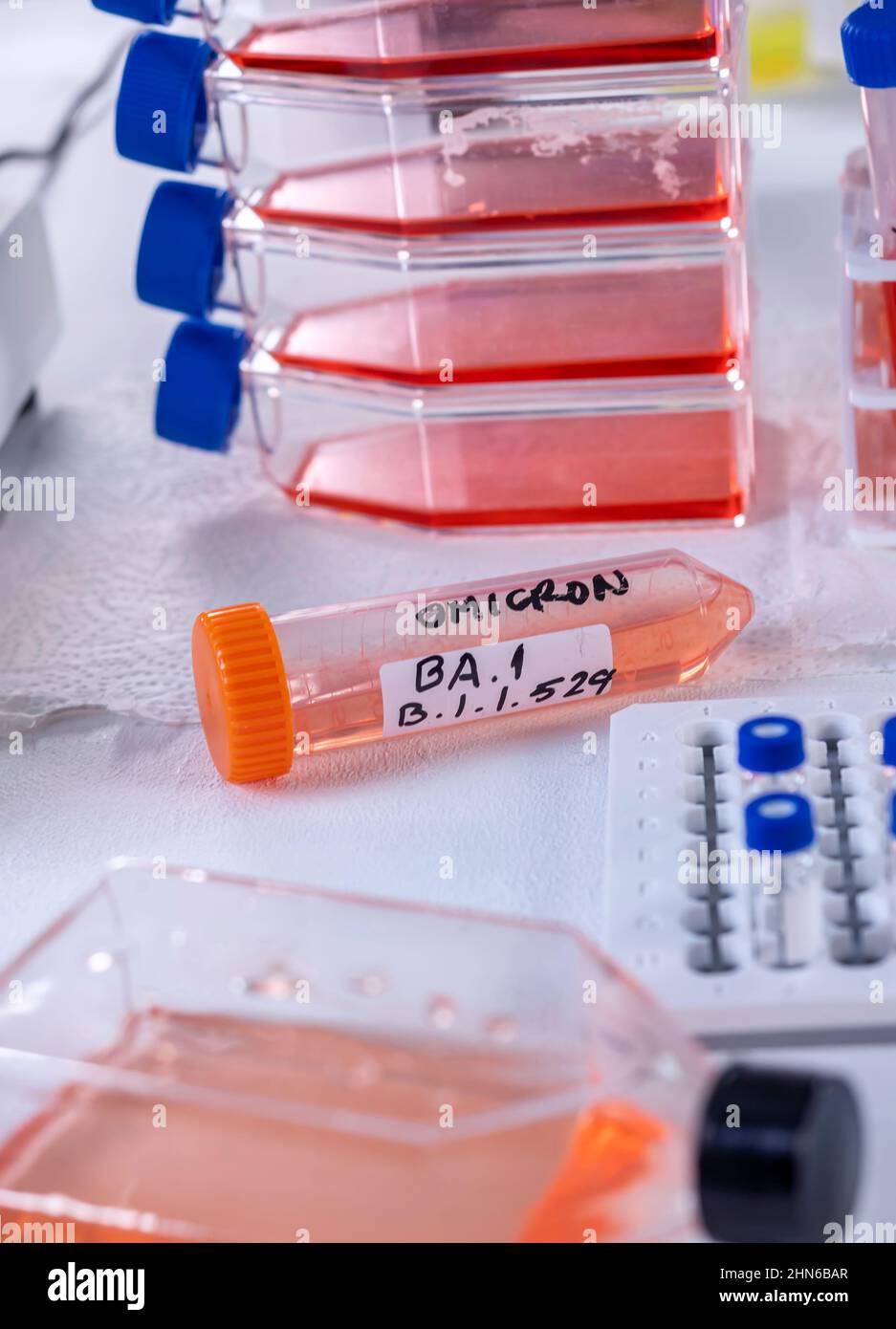Investigation of new Sars-Cov-2 strain called  Omicron B.1.1.529 in laboratory, conceptual image. Stock Photo