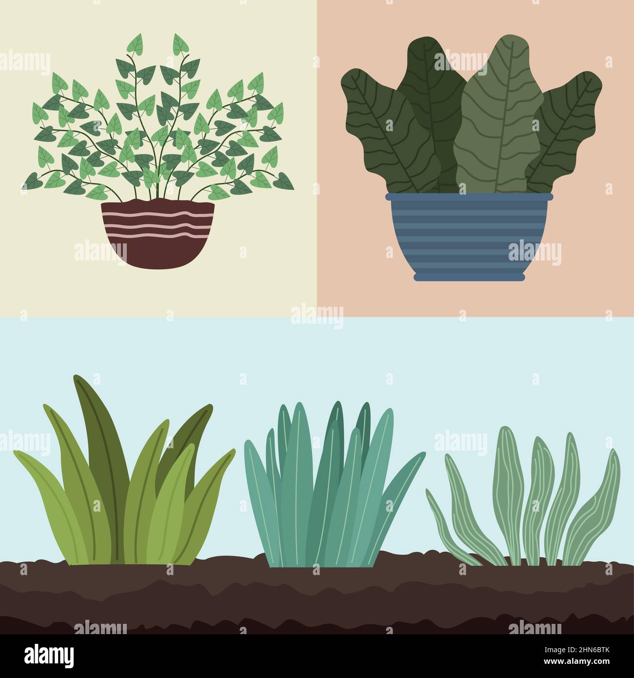 plants and houseplants Stock Vector Image & Art - Alamy